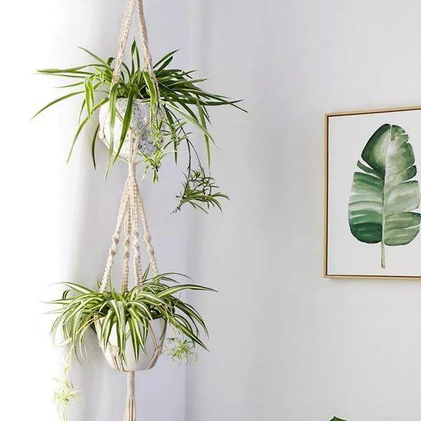 Stornfield | Handmade Boho Macrame Plant Hanger Set of 4