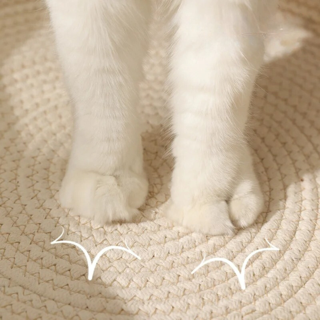 Hand-woven Cotton Rope Cat Bed Stornfield