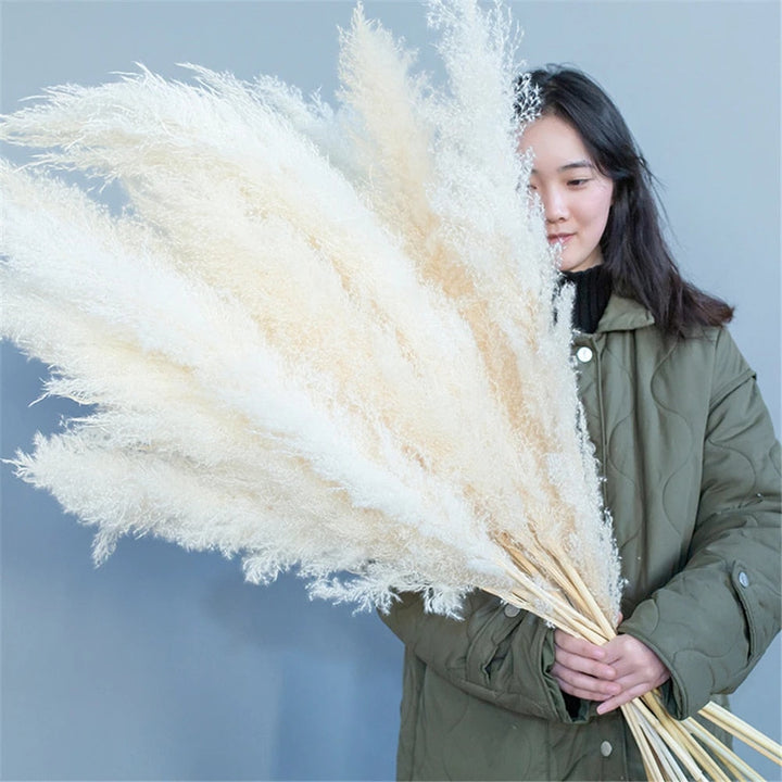 Stornfield | FeatherFawn - Dried Pampas Flowers