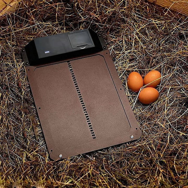 Coop-Wache | Automatic Chicken Door | Stornfield