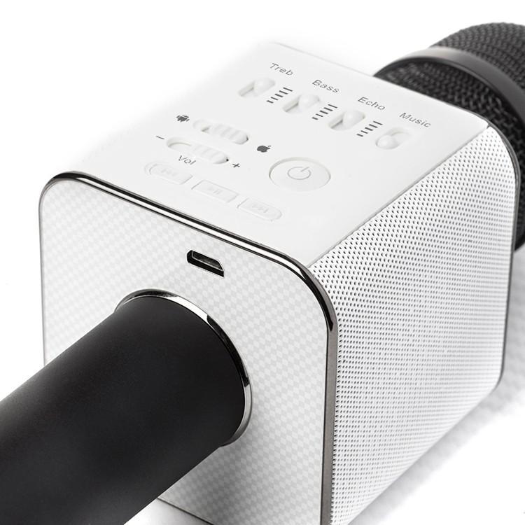 Karaoke Microphone Bluetooth with Speaker | Stornfield