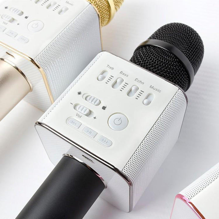 Karaoke Microphone Bluetooth with Speaker | Stornfield