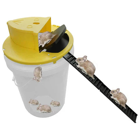 Reusable live trap for mice & rats | Stornfield