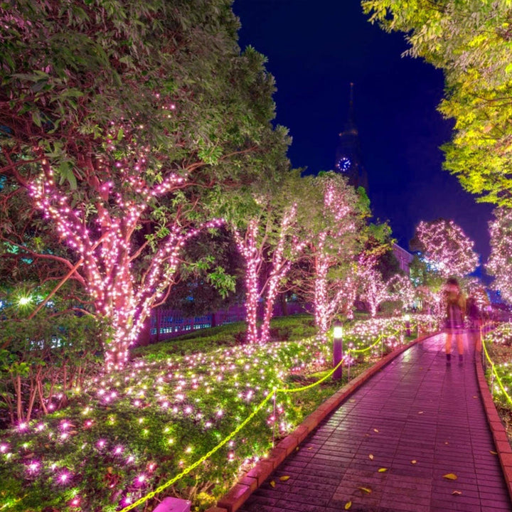 Stornfield | Solar Fairy Lights for Outdoor Use | Waterproof Solar Garden Lights