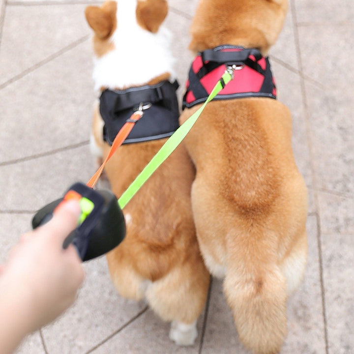 DuoLijn LED Dual Retractable Leash for Dogs and Cats with 360° Rotation Mechanism 3 Meters | Stornfield