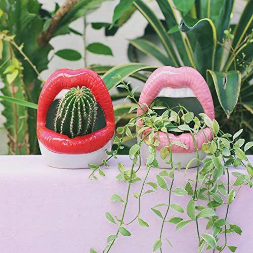 Stornfield | Lips Planters