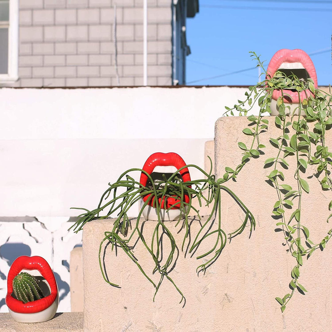 Stornfield | Lips Planters