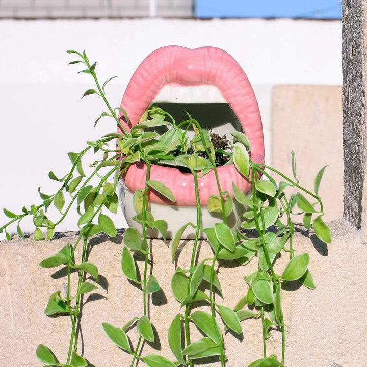 Stornfield | Lips Planters