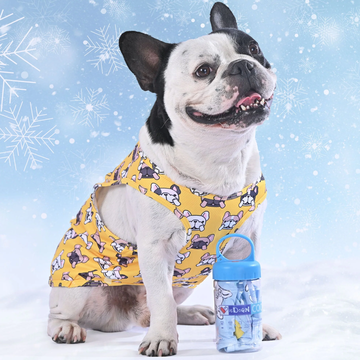 Coolify™: Summer Cooling Vest (CS17) | Stornfield