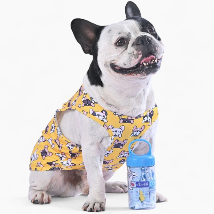 Coolify™: Summer Cooling Vest (CS17) | Stornfield