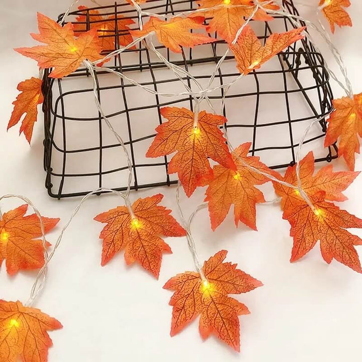 Stornfield | Lumières à guirlande en feuilles d'érable d'automne
