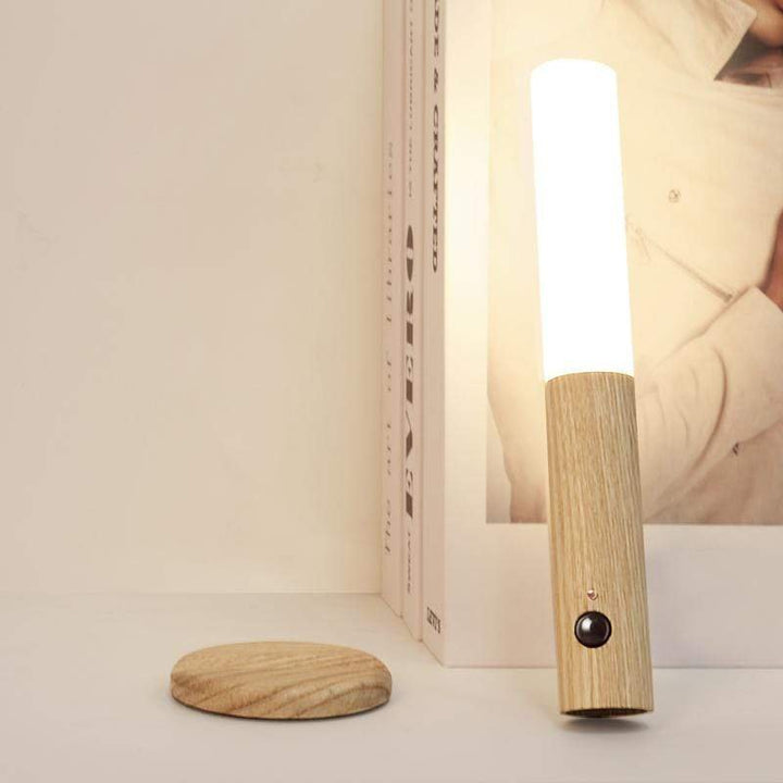 Mountable Motion Sensor Light Stornfield