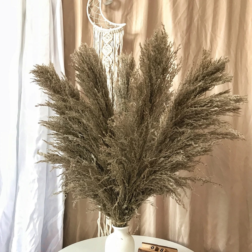 Stornfield | FeatherFawn - Dried Pampas Flowers