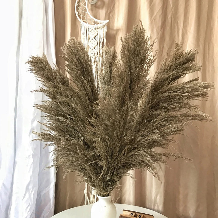 Stornfield | FeatherFawn - Dried Pampas Flowers