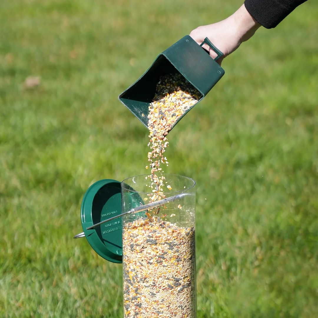 Stornfield | Bird Feeder | Squirrel-Proof Hanging Seed Feeder Outdoor