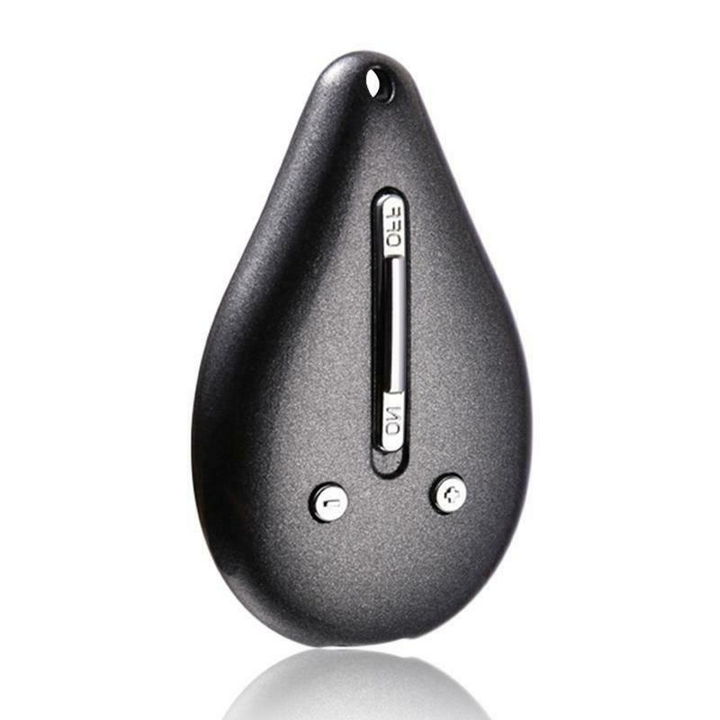 Stornfield | Keychain Voice Recorder – 100-Hour Memory, Portable & Discreet