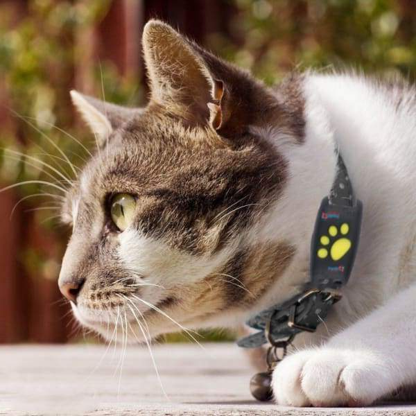 Stornfield | Cat GPS Tracker for Pets Locator Device Microchip