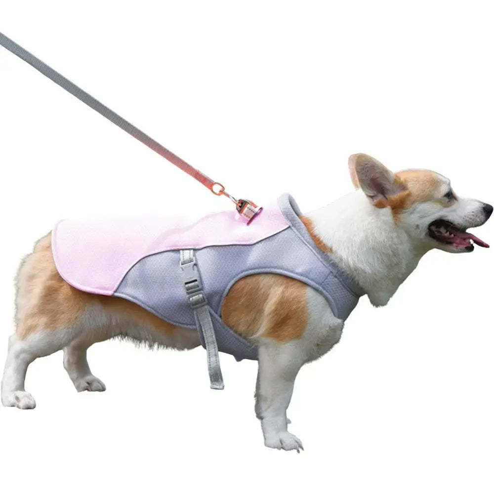 Dog Cooling Vest for Outdoor Activities | Stornfield