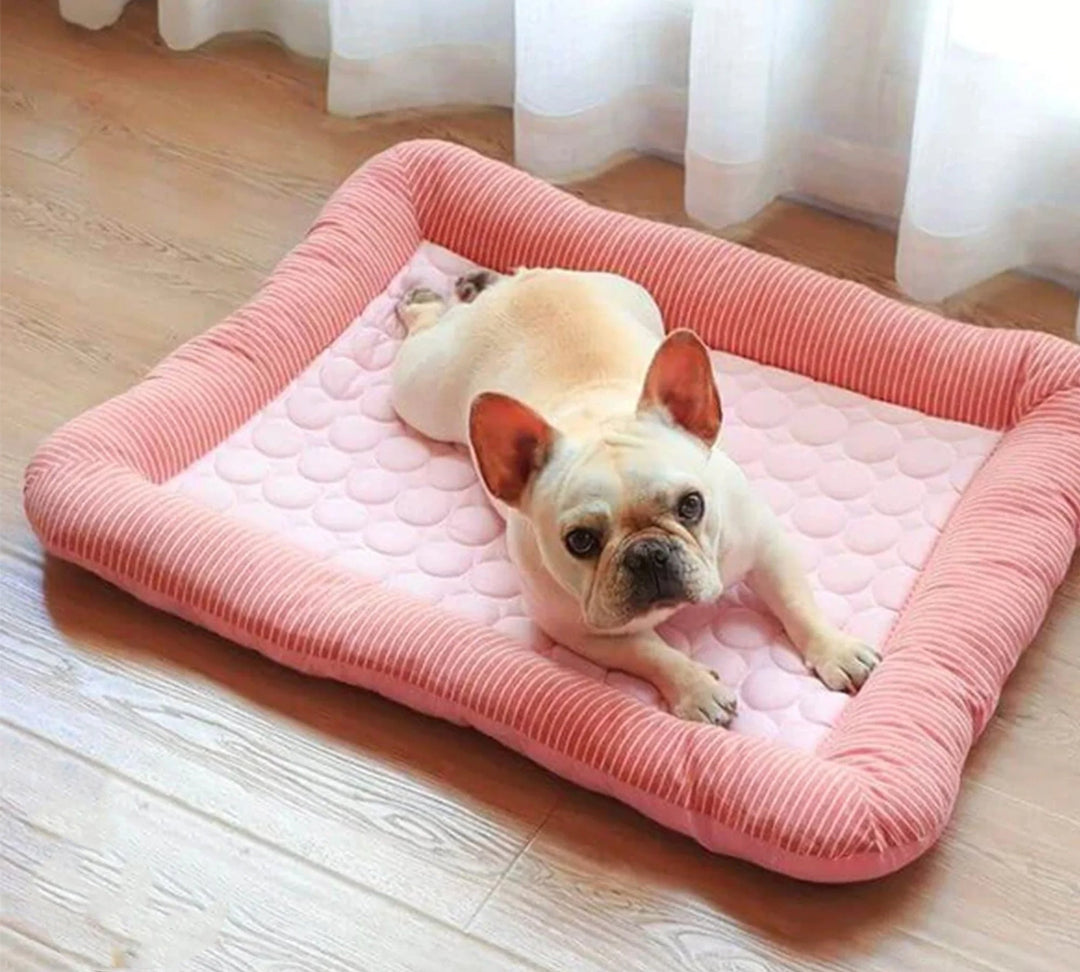Cooling Dog Bed with Ice Silk Material | Stornfield