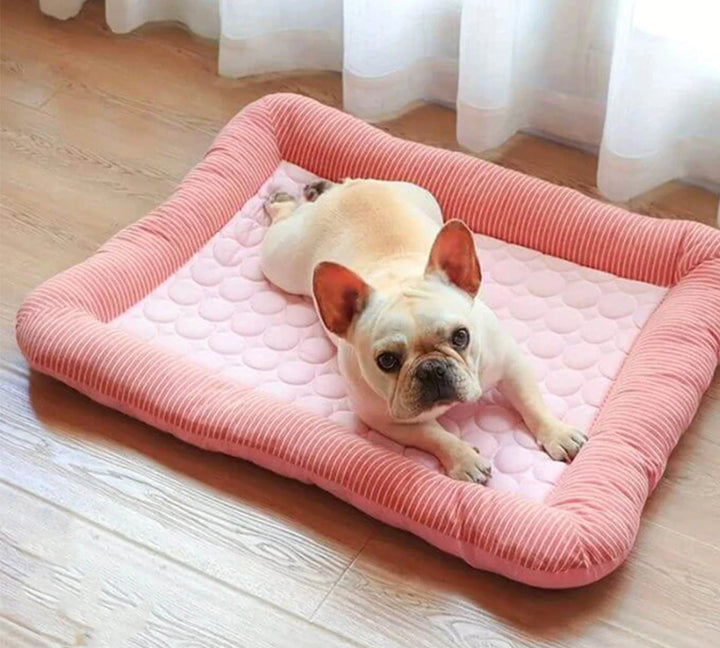 Cooling Dog Bed with Ice Silk Material | Stornfield
