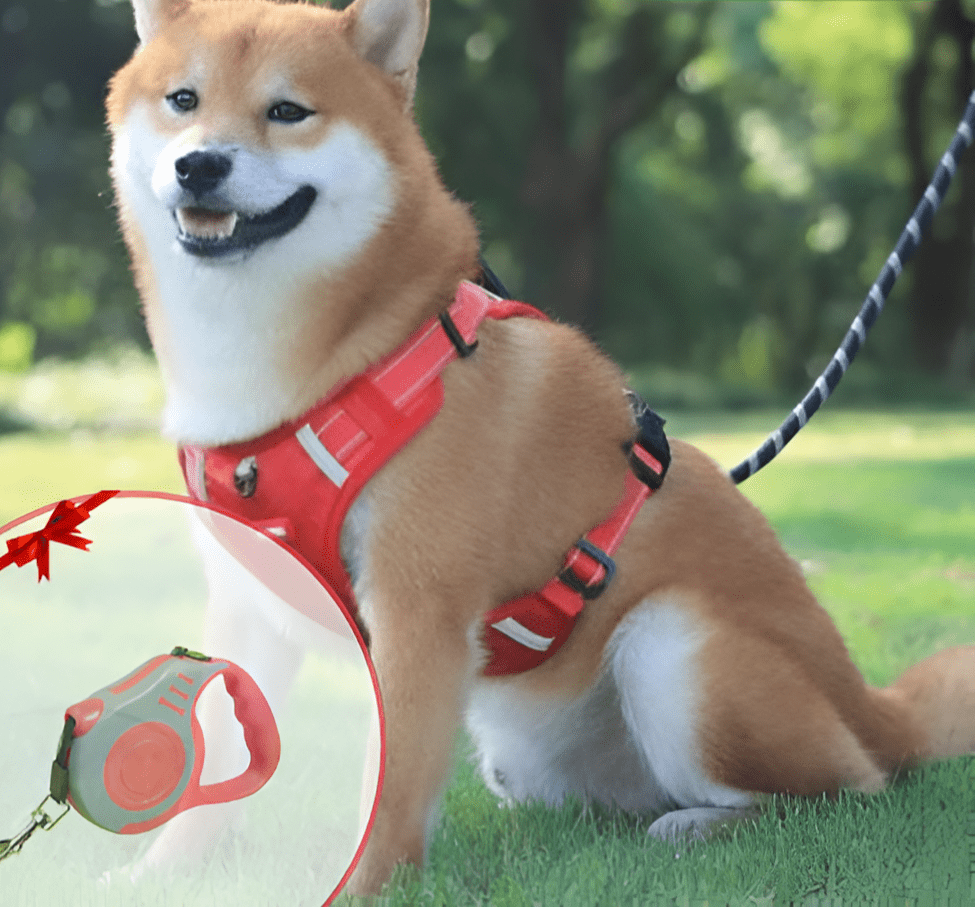 DogGrip Walk safely with your dog | Stornfield