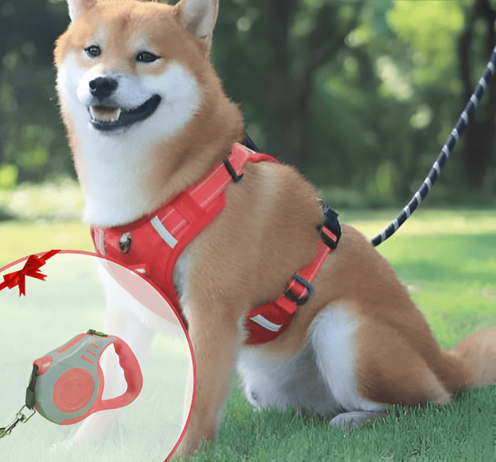 DogGrip Walk safely with your dog | Stornfield