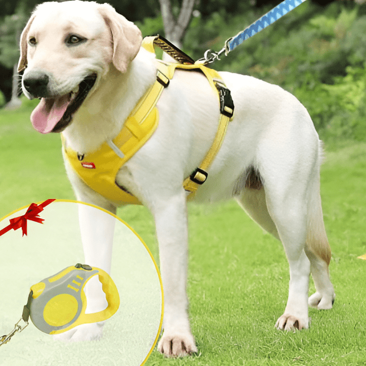 DogGrip Walk safely with your dog | Stornfield