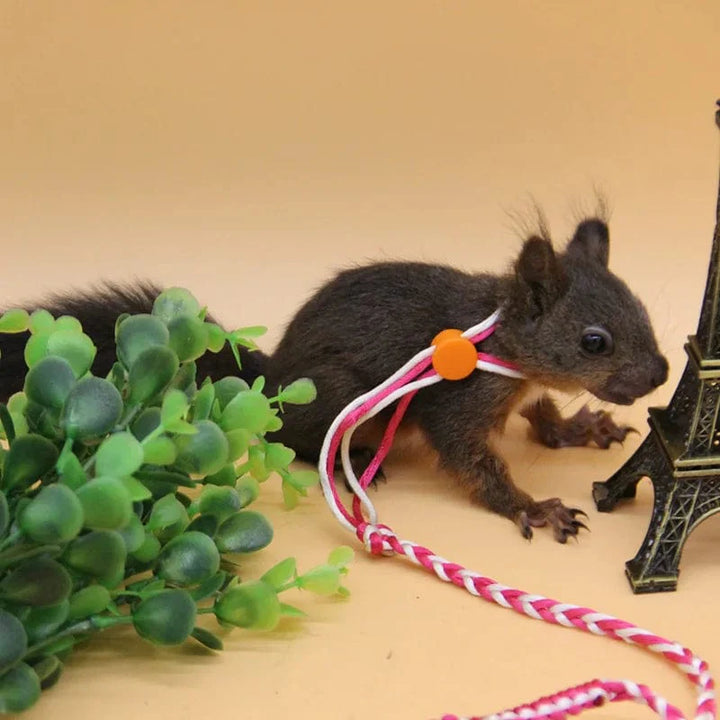 1.4m 2.0m Adjustable Pet Hamster Leash Harness Rope Gerbil Cotton Rope Harness Lead Collar for Rat Mouse Hamster Pet Cage Leash | Stornfield
