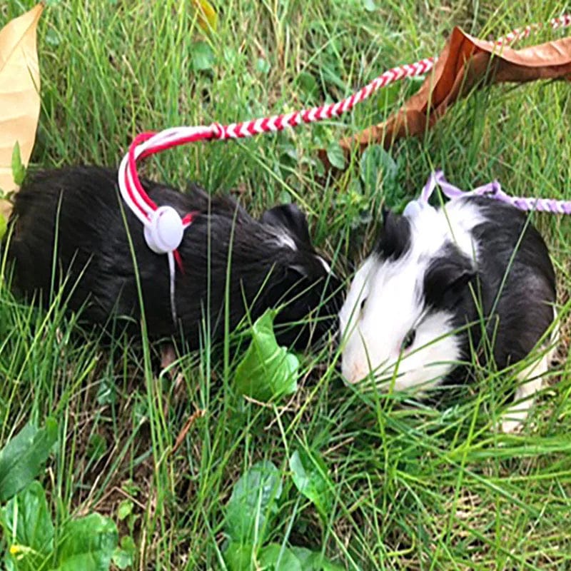 1.4m 2.0m Adjustable Pet Hamster Leash Harness Rope Gerbil Cotton Rope Harness Lead Collar for Rat Mouse Hamster Pet Cage Leash | Stornfield