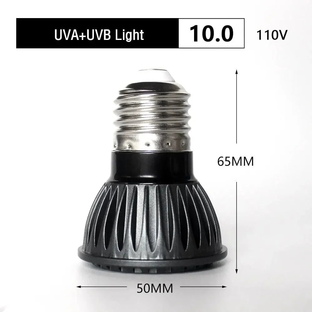 UVA + UVB LED Reptile Light Turtle Basking Platform Full Spectrum Sun Lamp Sunbathe Heat Lamp for Lizard Reptiles and Amphibians | Stornfield