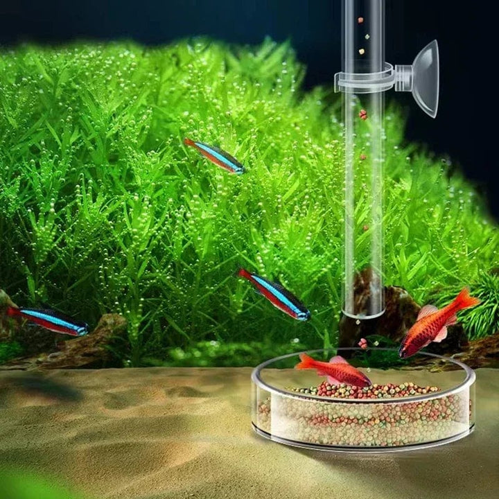 Acrylic Aquarium Feeder Tube Dish Transparent Fish Tank Shrimp Snail Shrimp Food Feeder Bowl Aquarium Feeding Accessories | Stornfield