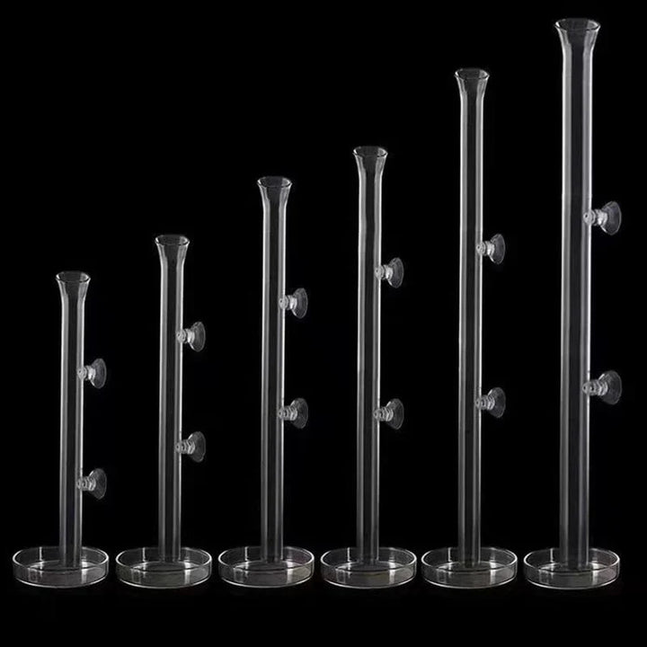 Thickened Glass Aquarium Feeder Tube Dish Transparent Fish Tank Shrimp Snail Food Feeder Bowl Aquarium Fish Feeding Accessories | Stornfield