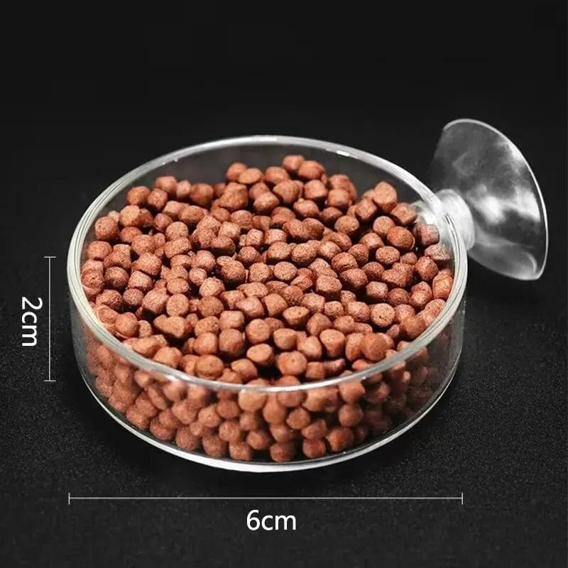 Thickened Glass Aquarium Feeder Tube Dish Transparent Fish Tank Shrimp Snail Food Feeder Bowl Aquarium Fish Feeding Accessories | Stornfield
