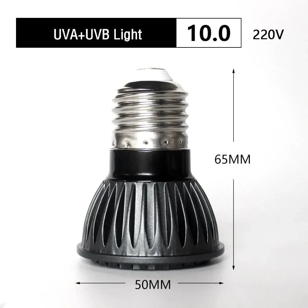UVA + UVB LED Reptile Light Turtle Basking Platform Full Spectrum Sun Lamp Sunbathe Heat Lamp for Lizard Reptiles and Amphibians | Stornfield