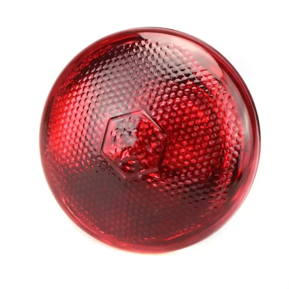 220V Poultry Heating Bulb 100/150/200/275W Infrared Insulation Heating for Reptiles Plants Amphibians Pets Livestock | Stornfield
