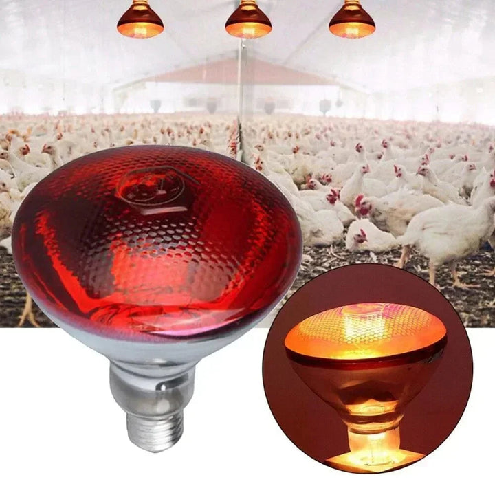 220V Poultry Heating Bulb 100/150/200/275W Infrared Insulation Heating for Reptiles Plants Amphibians Pets Livestock | Stornfield
