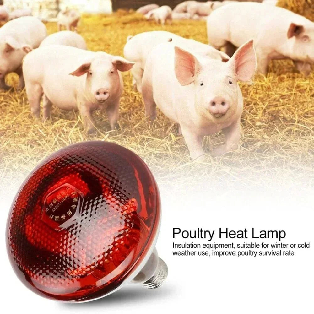 220V Poultry Heating Bulb 100/150/200/275W Infrared Insulation Heating for Reptiles Plants Amphibians Pets Livestock | Stornfield