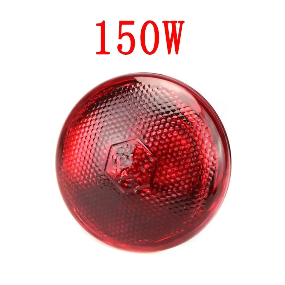 220V Poultry Heating Bulb 100/150/200/275W Infrared Insulation Heating for Reptiles Plants Amphibians Pets Livestock | Stornfield