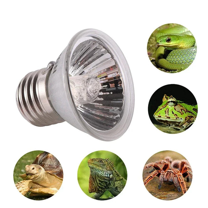 25/50/75W Reptile Light UVA+UVB 3.0 120v-220v Pet Heating Bulb Turtle Basking Bulb Amphibian Lizard Temperature Control | Stornfield