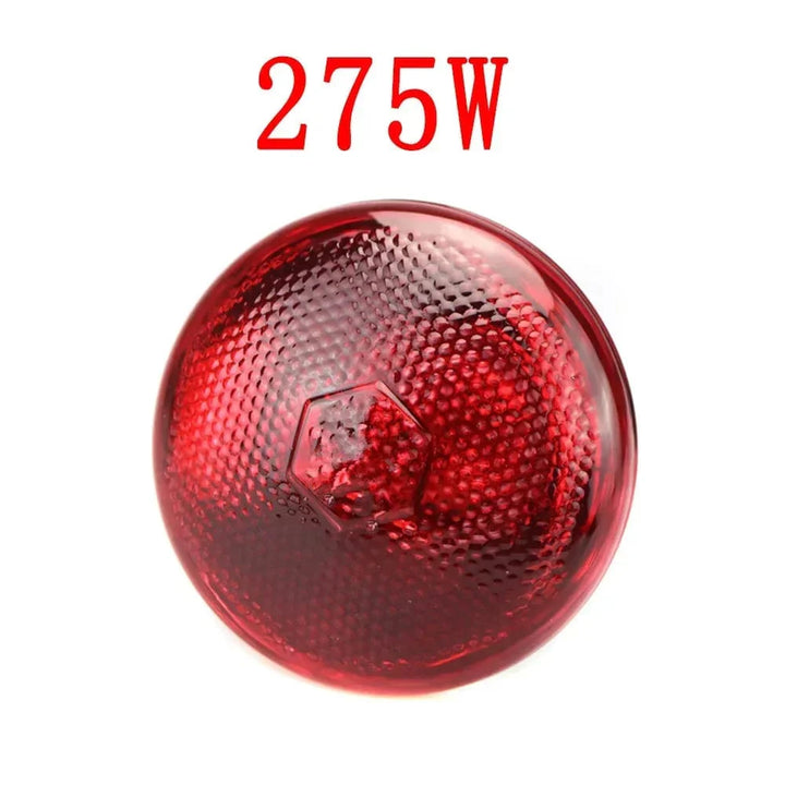 220V Poultry Heating Bulb 100/150/200/275W Infrared Insulation Heating for Reptiles Plants Amphibians Pets Livestock | Stornfield