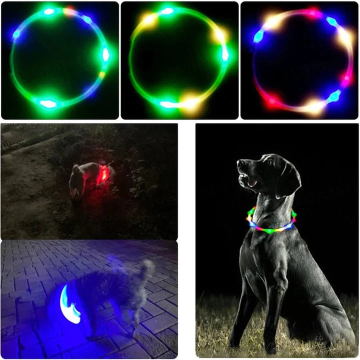 3 Modes Dog Luminou Charge Collar Led Usb Cat Silicone Colorful Collar Detachable Night Glow Pet Loss Prevention Dog Accessories | Stornfield
