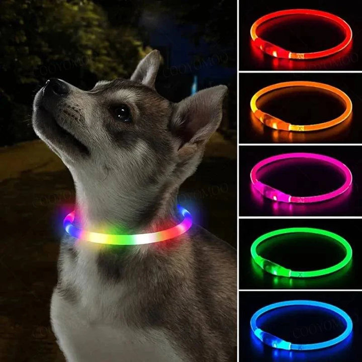 3 Modes Dog Luminou Charge Collar Led Usb Cat Silicone Colorful Collar Detachable Night Glow Pet Loss Prevention Dog Accessories | Stornfield