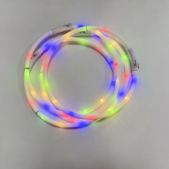 3 Modes Dog Luminou Charge Collar Led Usb Cat Silicone Colorful Collar Detachable Night Glow Pet Loss Prevention Dog Accessories | Stornfield