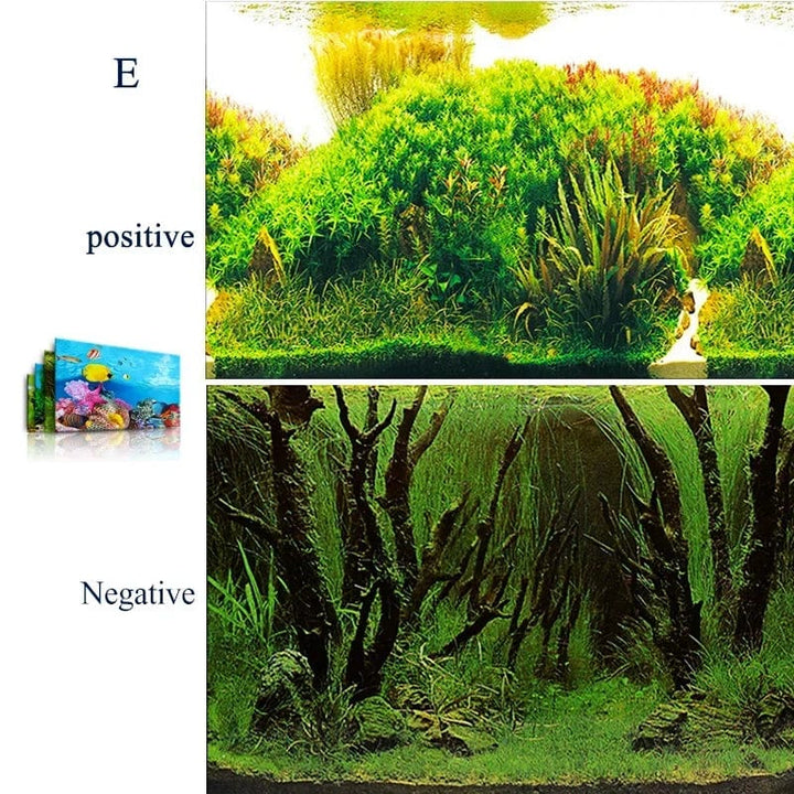 3d Marine Background for Aquarium Decorations Stickers & Poster Goods Decoration Fish Tanks and Aquariums Accessories Aquascape | Stornfield