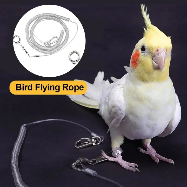 3M/6M Parrot Bird Flying Training Leash Ultra-light Flexible Rope Anti-bite with Leg Ring Harness Bird Training Rope Outdoor | Stornfield