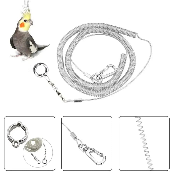 3M/6M Parrot Bird Flying Training Leash Ultra-light Flexible Rope Anti-bite with Leg Ring Harness Bird Training Rope Outdoor | Stornfield