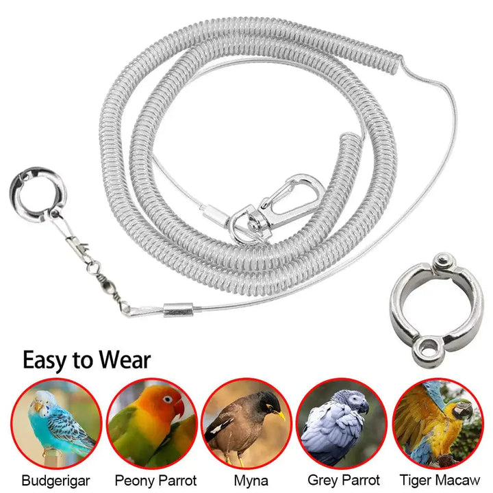3M/6M Parrot Bird Flying Training Leash Ultra-light Flexible Rope Anti-bite with Leg Ring Harness Bird Training Rope Outdoor | Stornfield