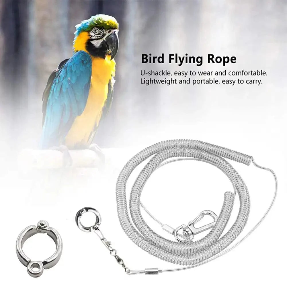 3M/6M Parrot Bird Flying Training Leash Ultra-light Flexible Rope Anti-bite with Leg Ring Harness Bird Training Rope Outdoor | Stornfield