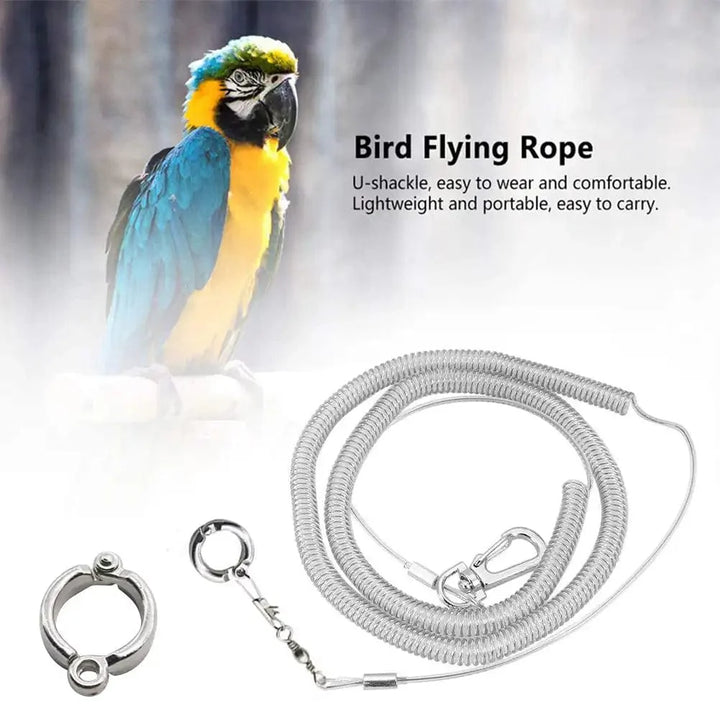 3M/6M Parrot Bird Flying Training Leash Ultra-light Flexible Rope Anti-bite with Leg Ring Harness Bird Training Rope Outdoor | Stornfield