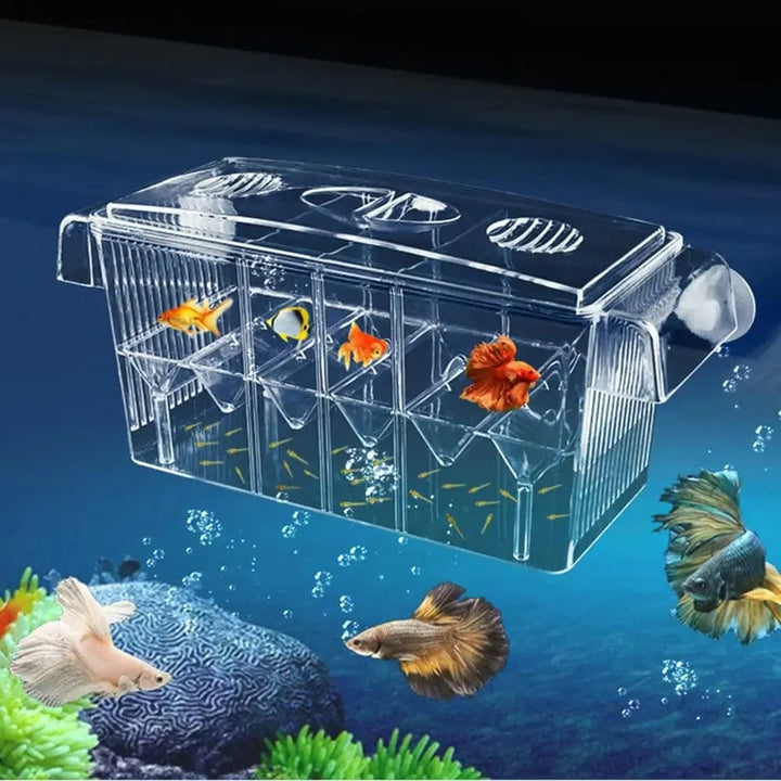 Aquarium Breeding Incubator Isolation Box Double Layer 4 Rooms Transparent Acrylic Self-Floating Fish Hatchery Box Fish Tank | Stornfield